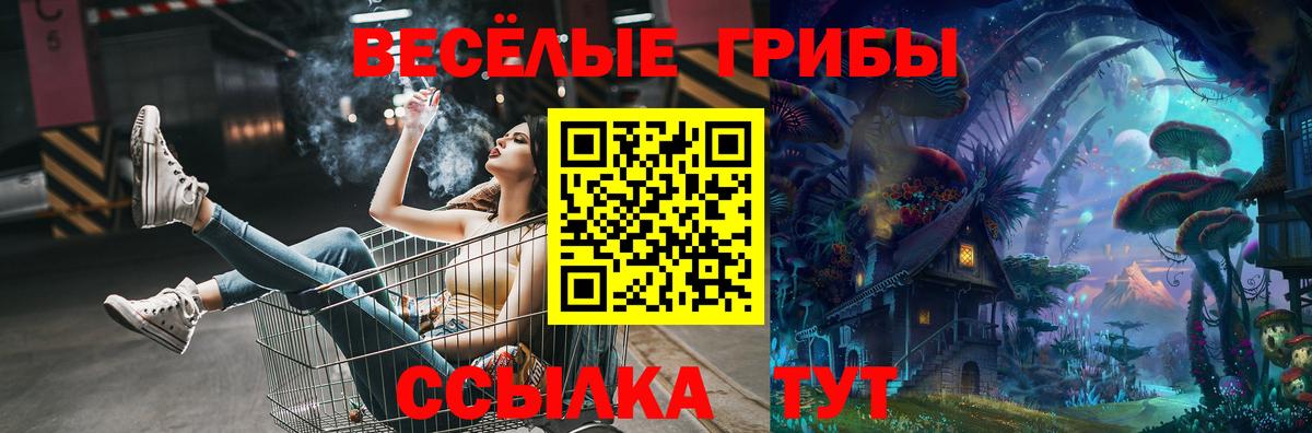 Псилоцибиновые грибы Magic Shrooms Заволжье
